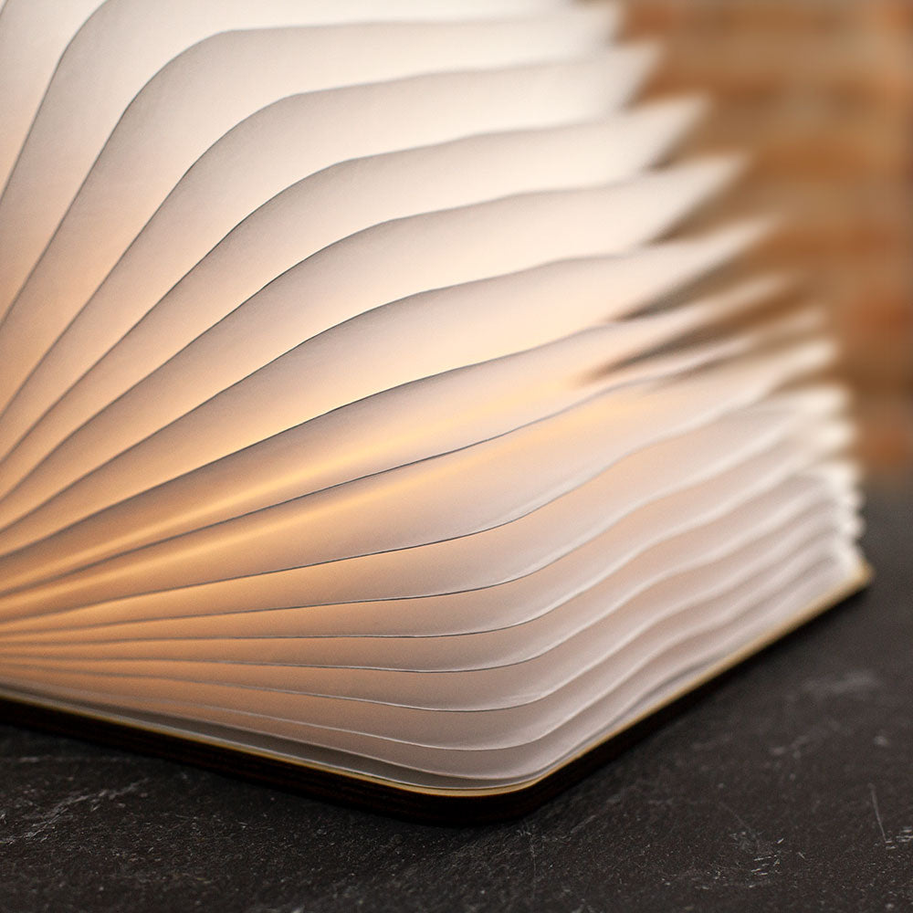 مصباح قراءة Leseglück مصنوع يدويًا