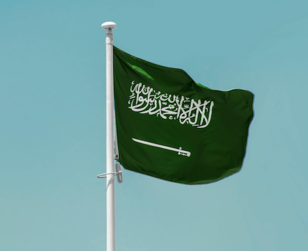 ضمان استعادة الأموال خلال ٣٠ يومًا