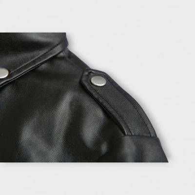 جاكيت بومبر أنيق